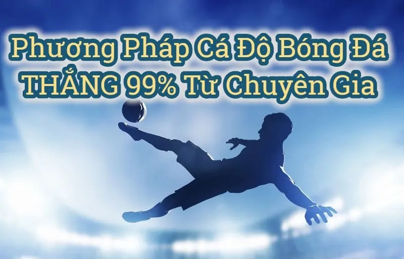 với phương ph&aacute;p c&aacute; độ b&oacute;ng đ&aacute; tỷ lệ thắng tr&ecirc;n 90%